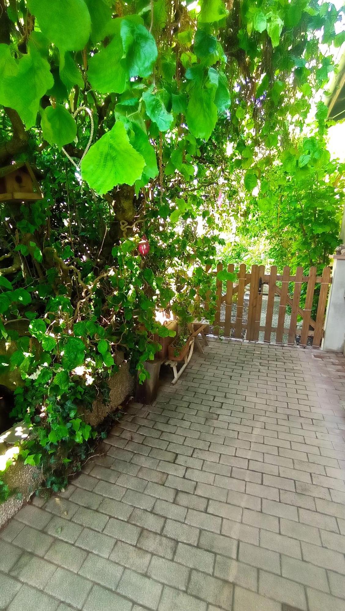 Garden Duplex Apartment Sundhoffen Exterior foto
